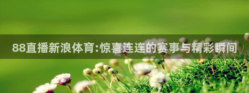 qy千亿球友体育：88直播新浪体育:惊喜连连的赛事与精彩瞬间