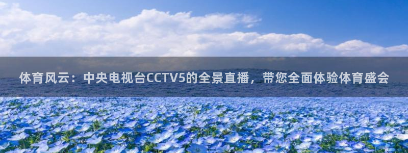 球友直播nba：体育风云：中央电视台CCTV5的全景直播，带您全面体验体育盛会