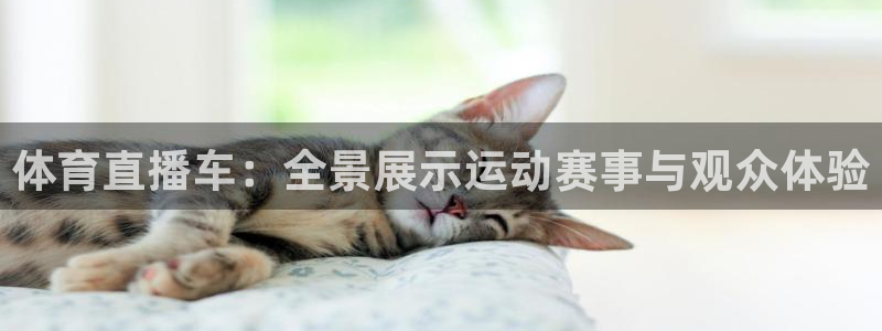 球友体育app免费看球：体育直播车：全景展示运动赛事与观众体验