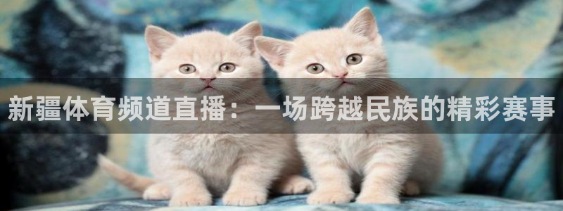 nba直播球友：新疆体育频道直播：一场跨越民族的精彩赛事