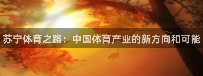 球友体育免费下载：苏宁体育之路：中国体育产业的新方向和可能