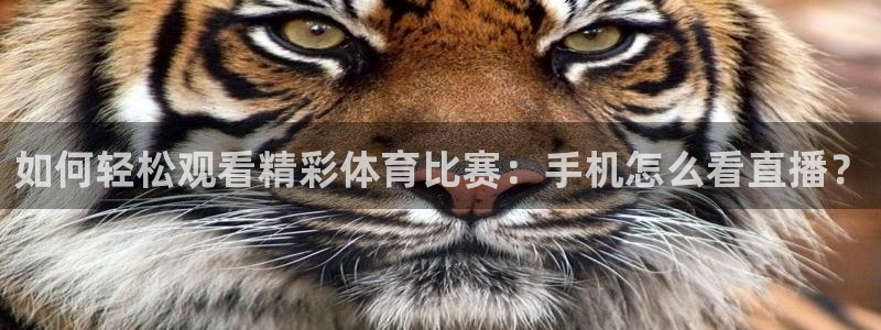 球友直播nba：如何轻松观看精彩体育比赛：手机怎么看直播？
