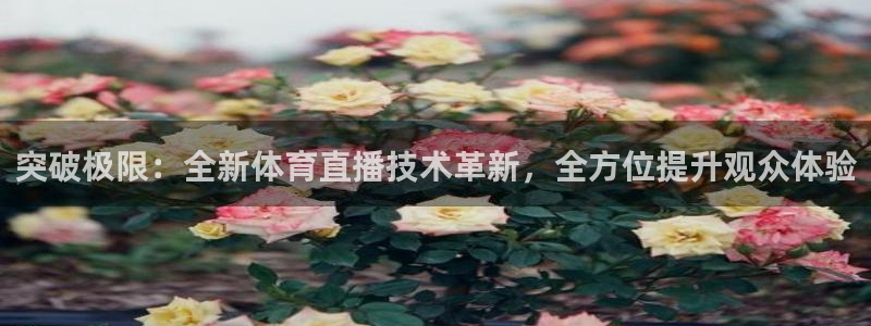 球友nba直播：突破极限：全新体育直播技术革新，全方位提升观众体验