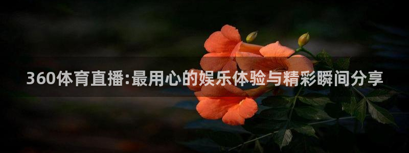 球友直播ios：360体育直播:最用心的娱乐体验与精彩瞬间分享