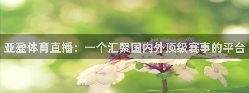 nba球友直播：亚盈体育直播：一个汇聚国内外顶级赛事的平台