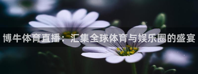 球友体育直播在线观看：博牛体育直播：汇集全球体育与娱乐圈的盛宴
