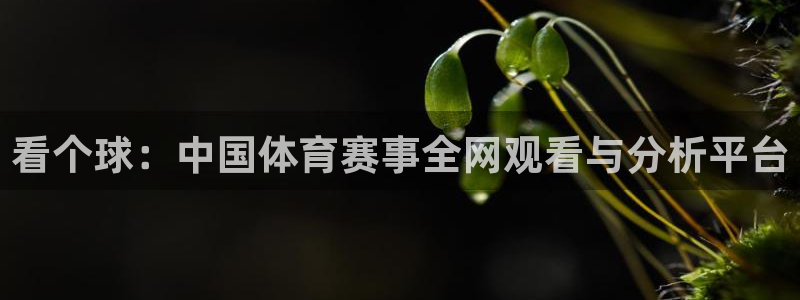 nba直播球友直播：看个球：中国体育赛事全网观看与分析平台
