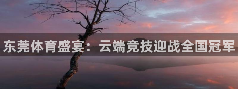 球友体育下载：东莞体育盛宴：云端竞技迎战全国冠军